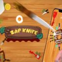 Zap knife: Knife Hit to target 9 zap knife knife hit to target